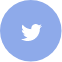 twitter-share-icon
